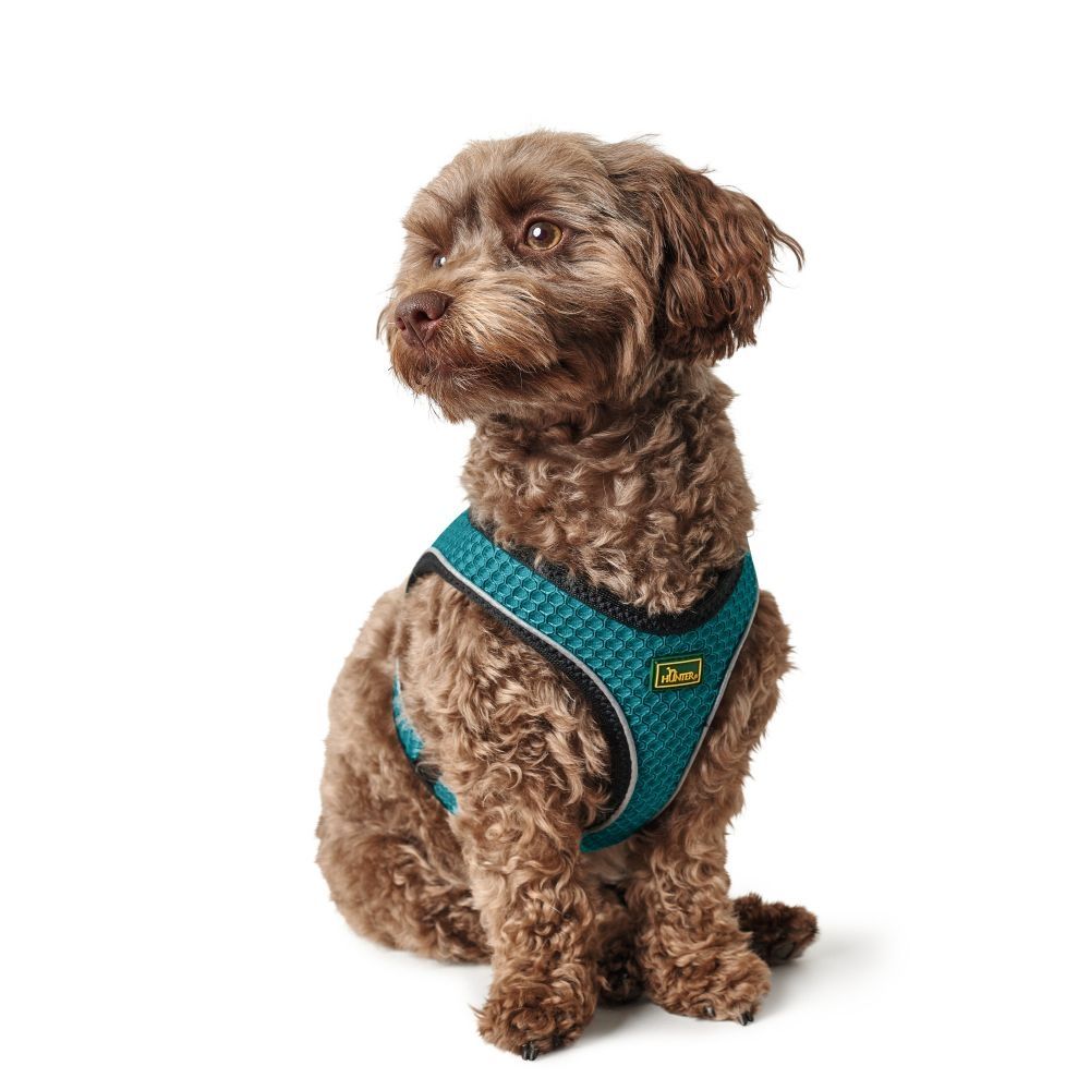 Hunter Hilo Comfort sele