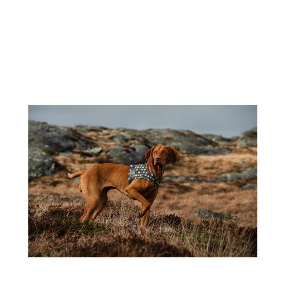 Hurtta go sele str. 65-80 cm