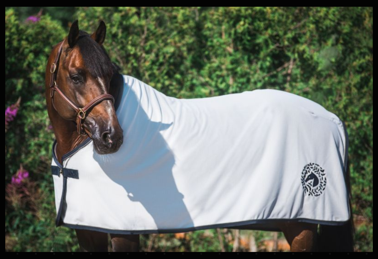 cooler dækken til hest