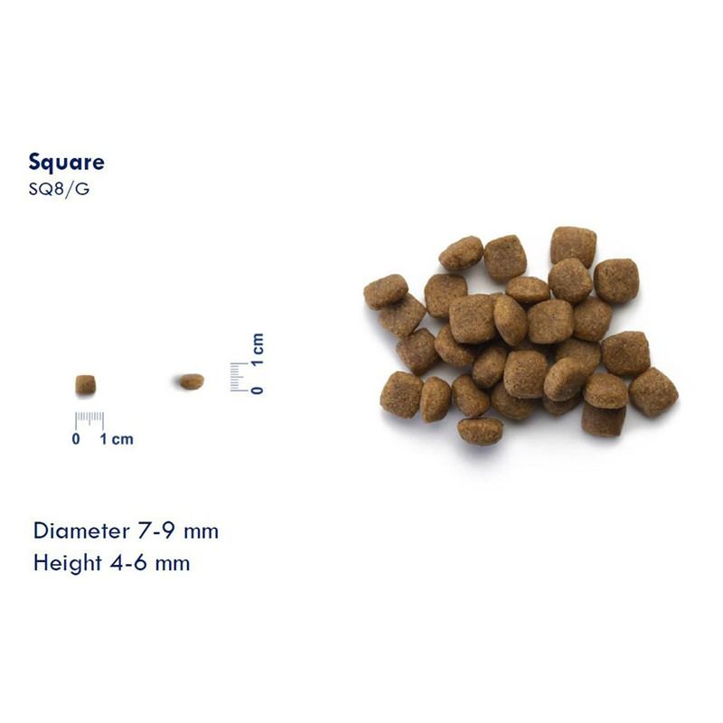 LIVE CAT Adult Neutered Fisk 2 kg