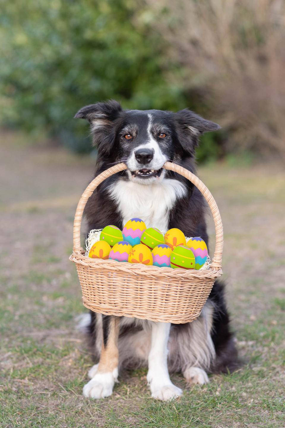 Trixie Påskeæg i Latex