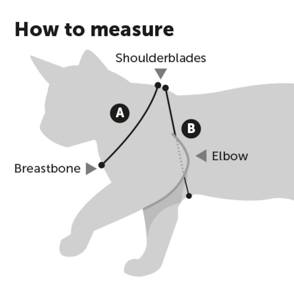 Kattesele med line til store katte