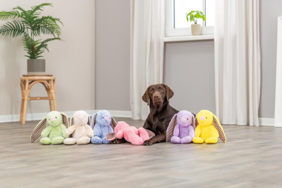 Trixie Påskehare