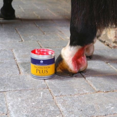 Carr & Day & Martin – Protection Plus, 500 g