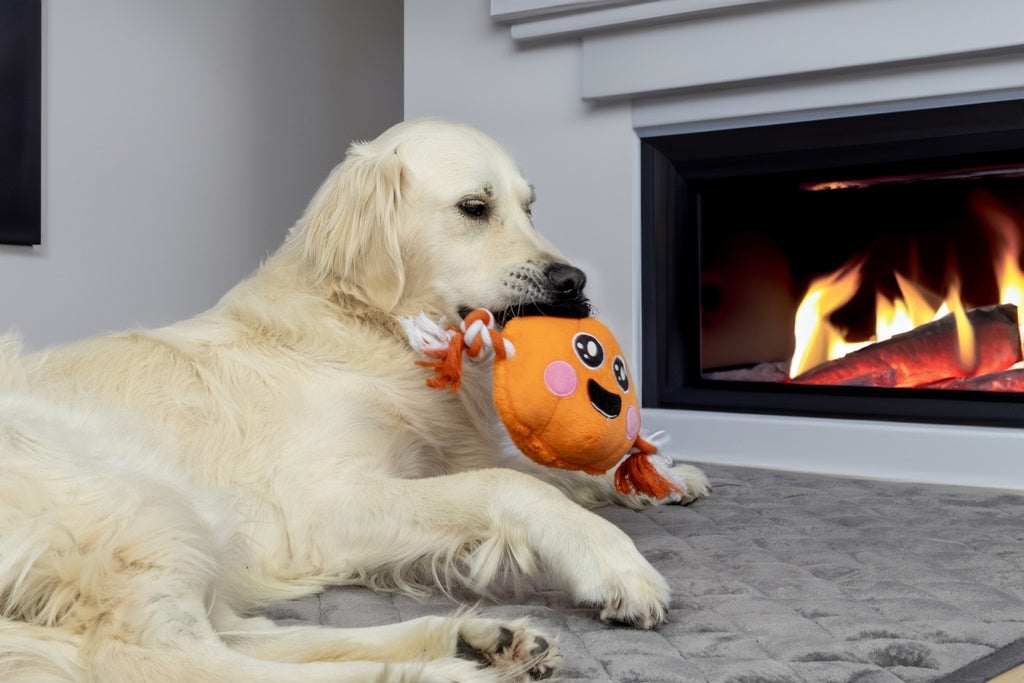 HALLOWEEN Thatcher Pumpkin