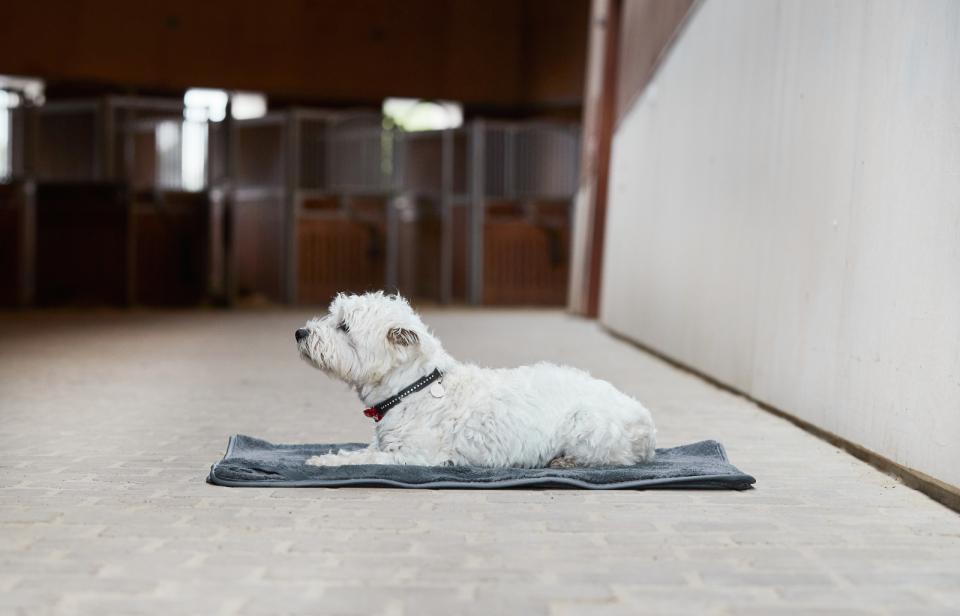 CATAGO Quick dry multifunktionelt tæppe.