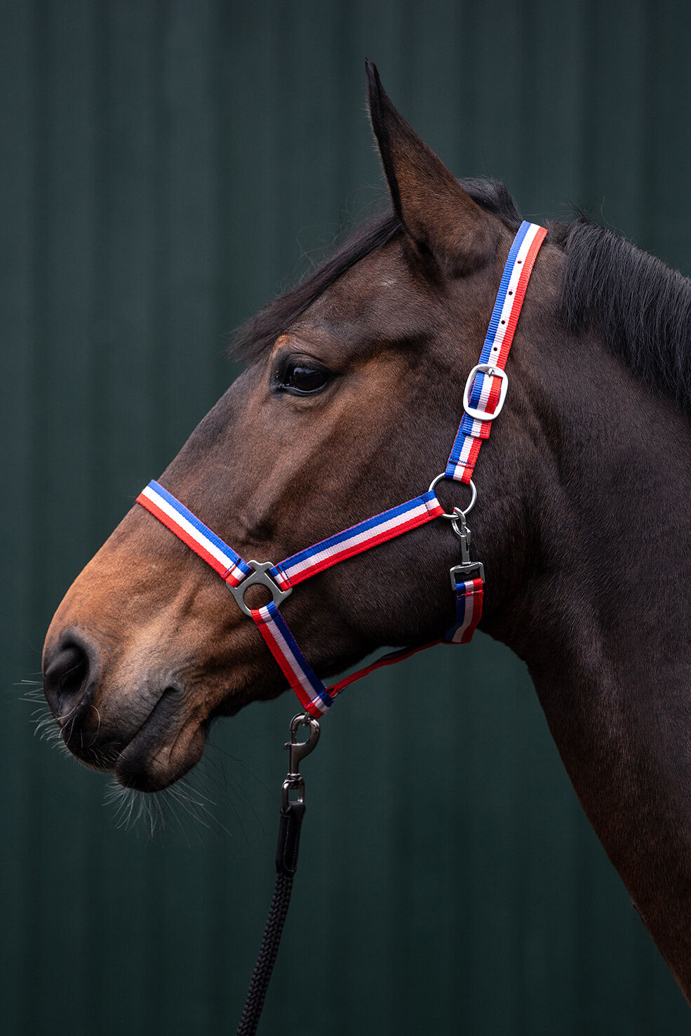 HKM Budapest Foldgrime