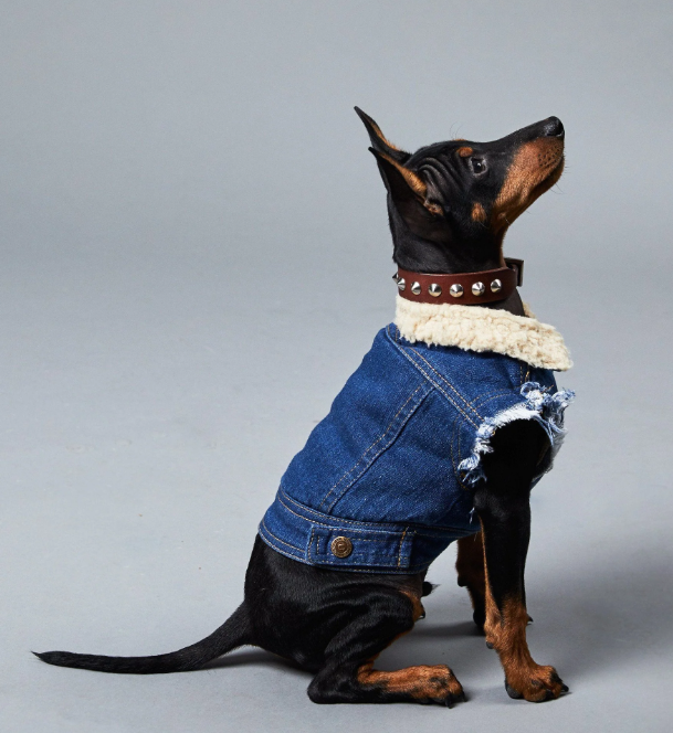Pethaus Sherpa Foret Denim Hundevest
