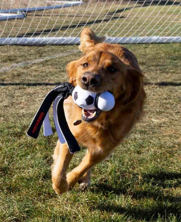 KONG Wubba Sport Football L