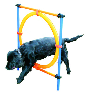 Agility spring med ring.