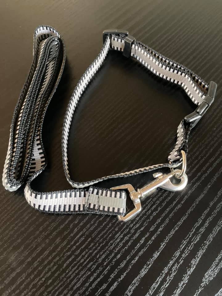 Sæt med refleks halsbånd og line - mellem hund