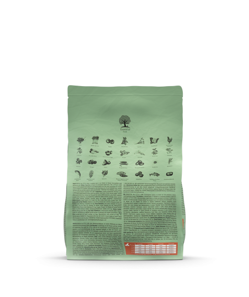 Essential Foods THE LITTLE LION