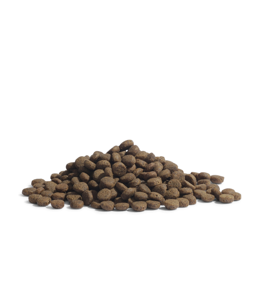 Essential Foods THE PANTHER