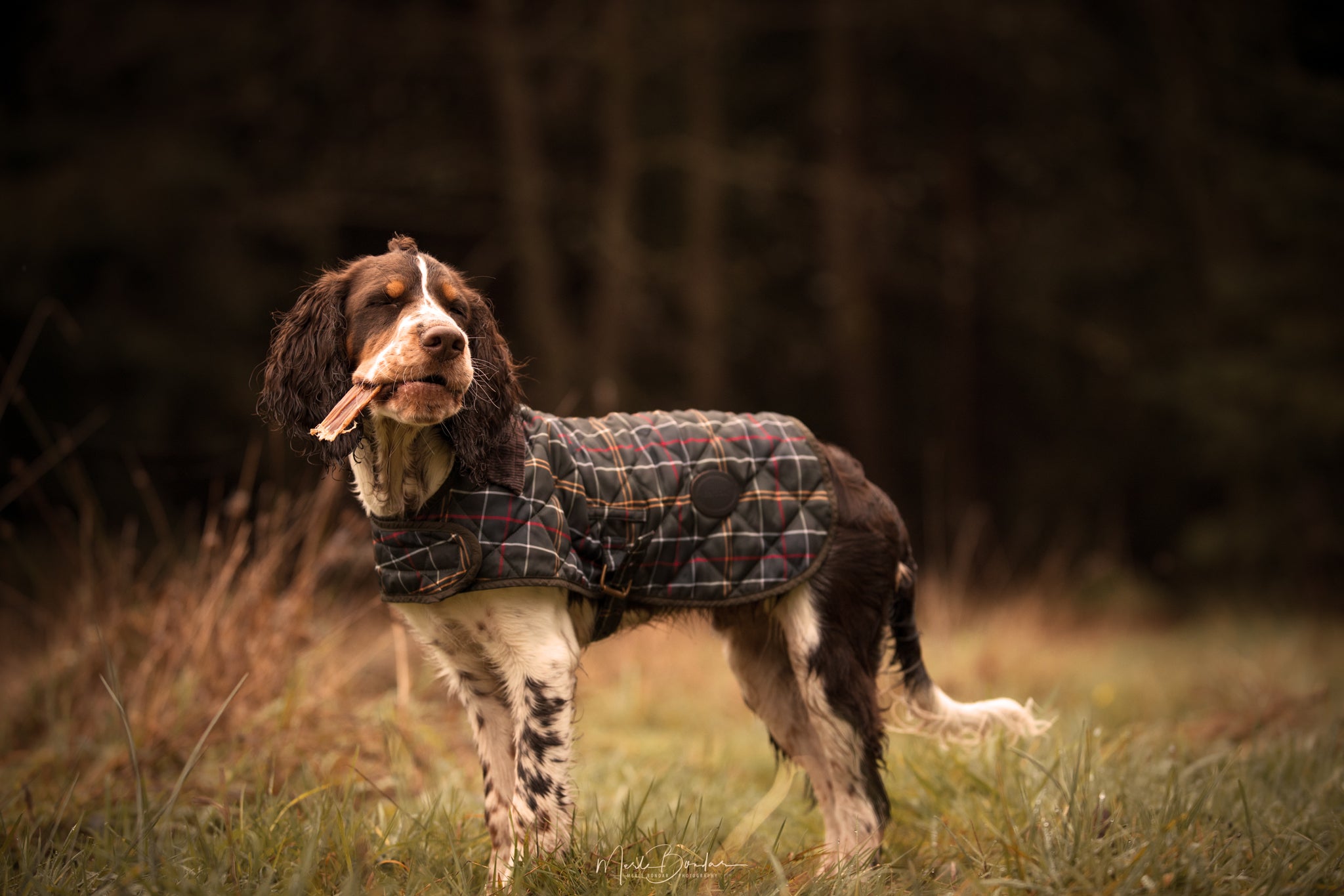 Essential Foods Beef Delights