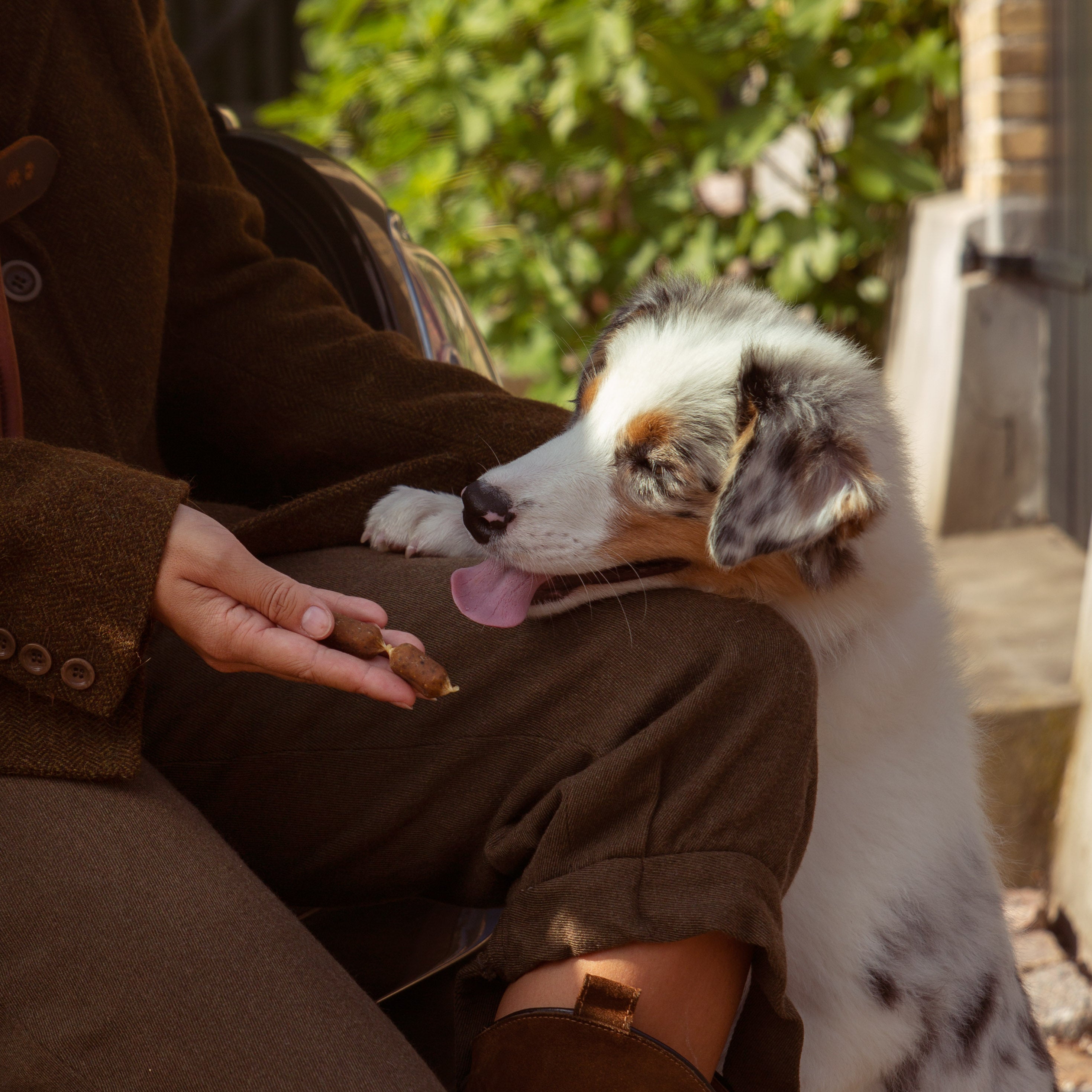 Essential Foods Finest salmon and parsley small sausages
