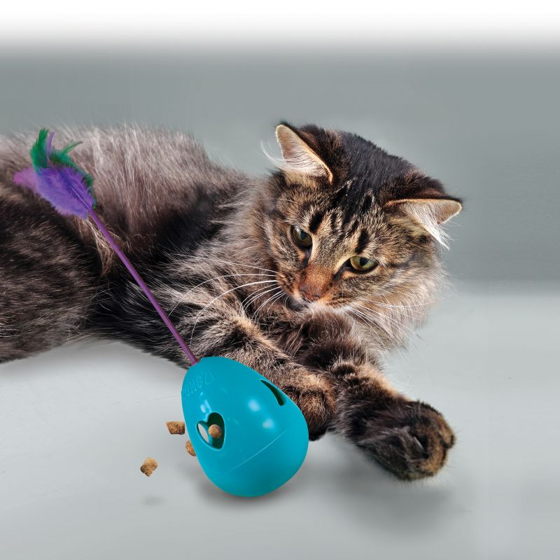 Kong infused tipping treat