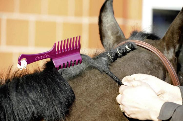 Top Zop mankam/klemme sort