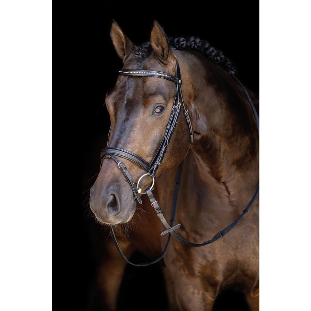 HKM Economic trense str pony