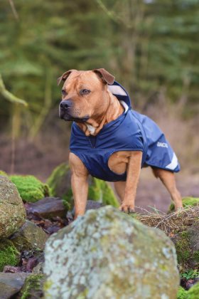 Pippi hundedækken fra Jackson
