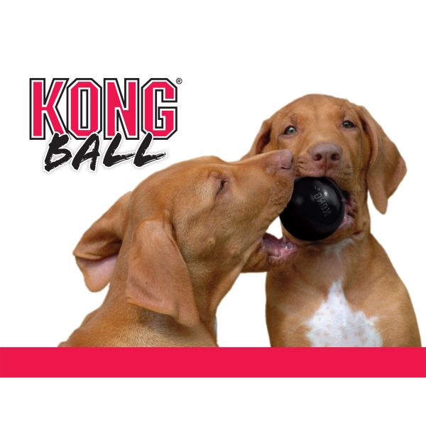 Kong Extreme Ball M/L