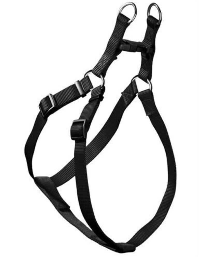 Hunter ecco sport quick sele