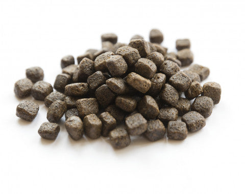 Essential Foods Older