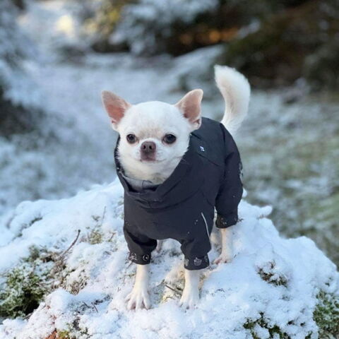 Hurtta Extreme Overall