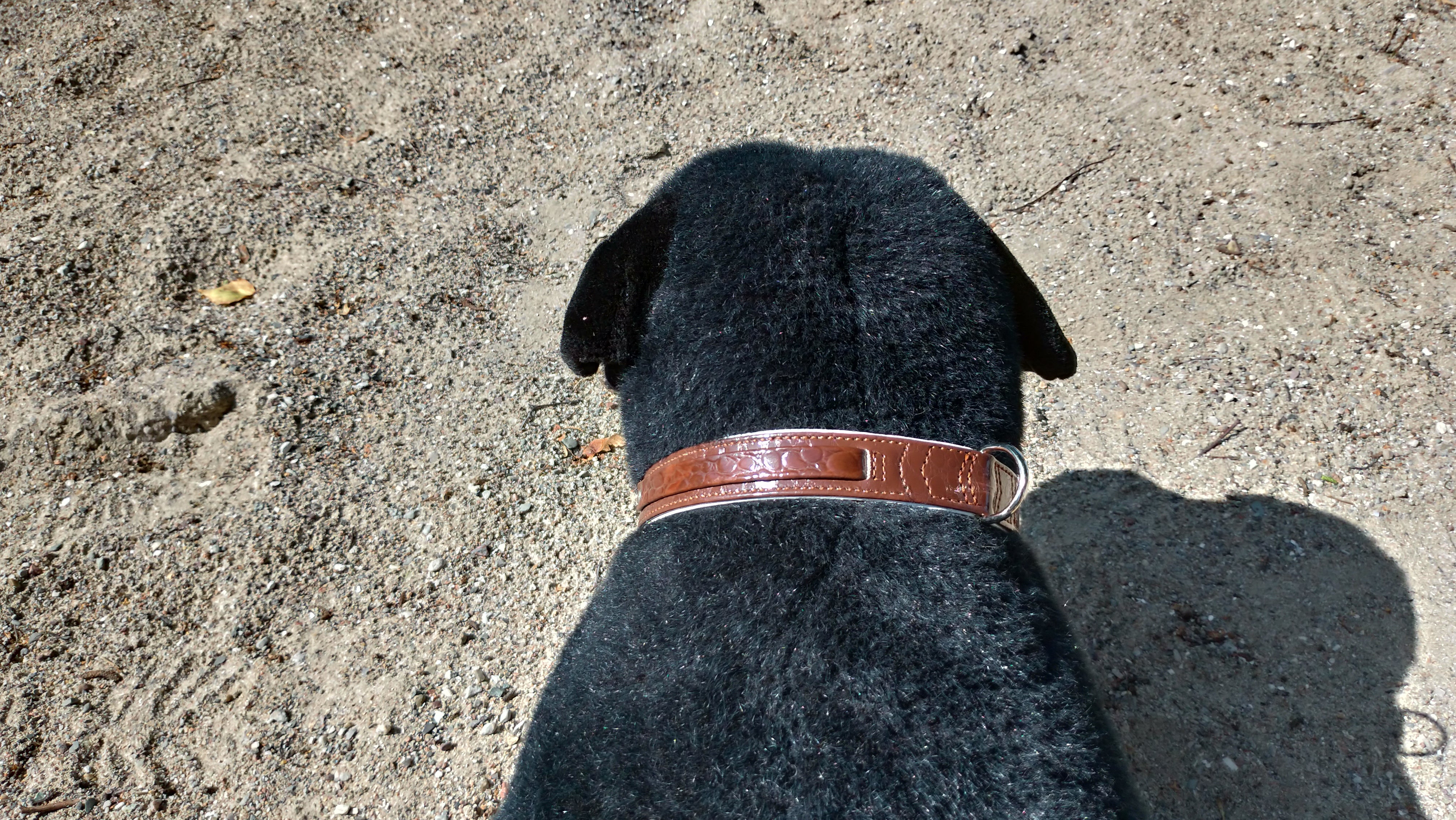 Marbel halsbånd fra Nobby