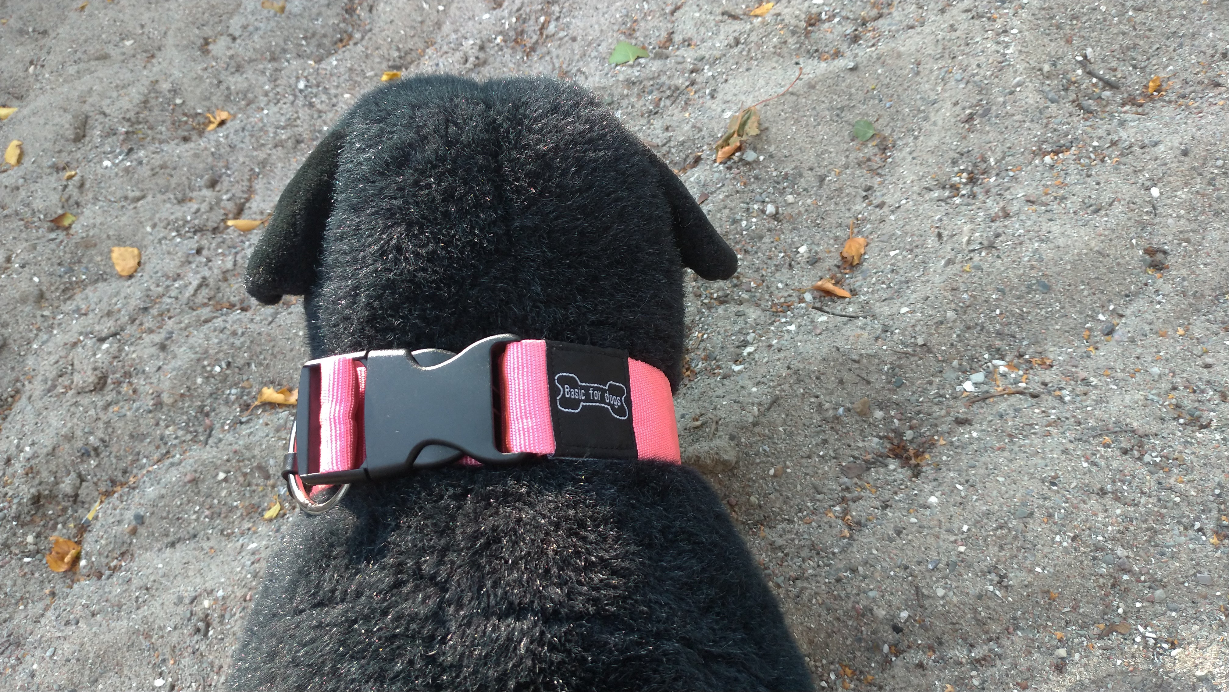 Basic Halsbånd i Nylon