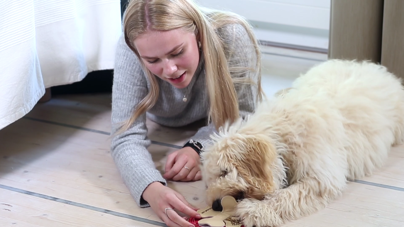 Pet-Pocket Hugo - ENESTÅENDE intelligent legetøj