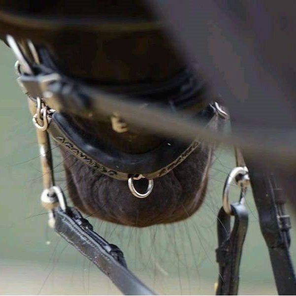 ACAVALLO  gel kædebeskyttere