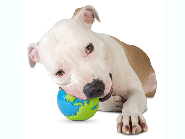 Bold - Charlietiptoe