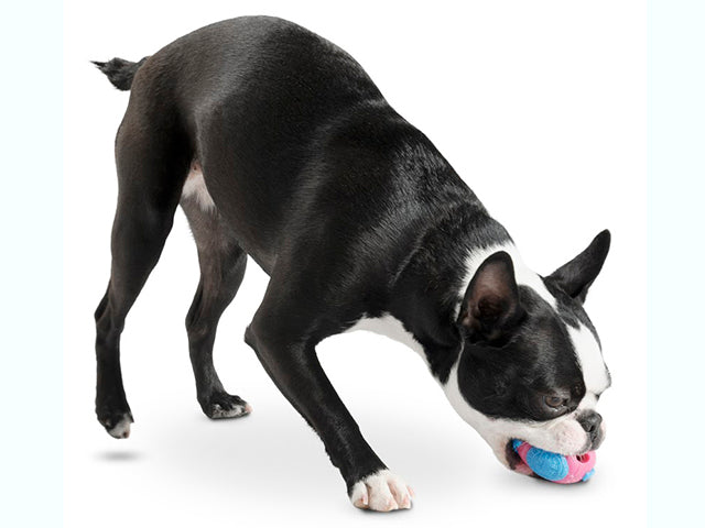 Bold - Charlietiptoe