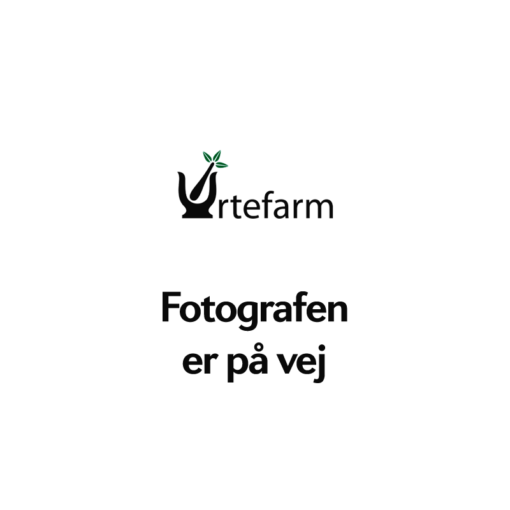 Urtefarm - Solbær/transbærbolcher 1 kg