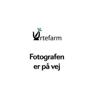 Urtefarm Tang granulat 3 kg