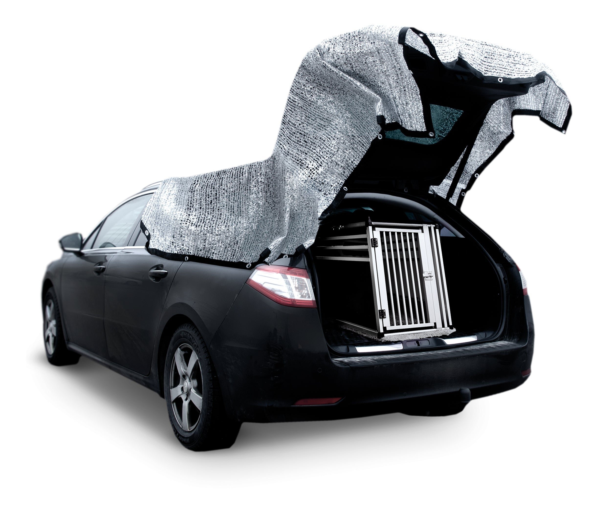 Solnet til bil eller bur