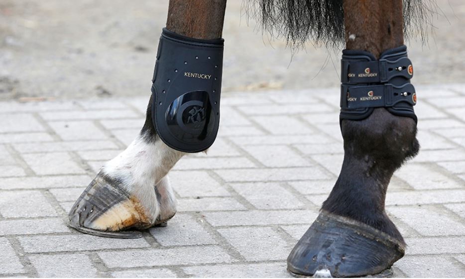 Kentucky Fetlock boots elastic str. full