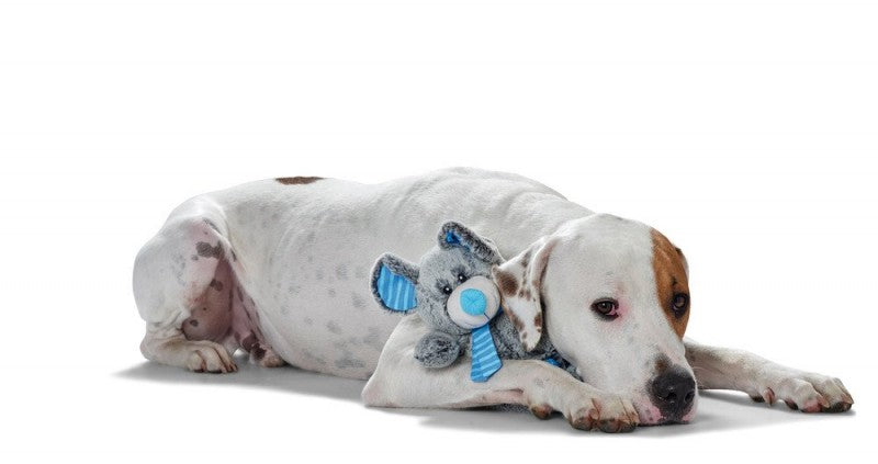 Hunter bamse til hvalpe