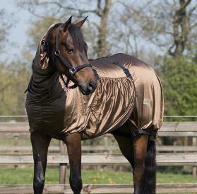 Eczeemdeken - fra QHP