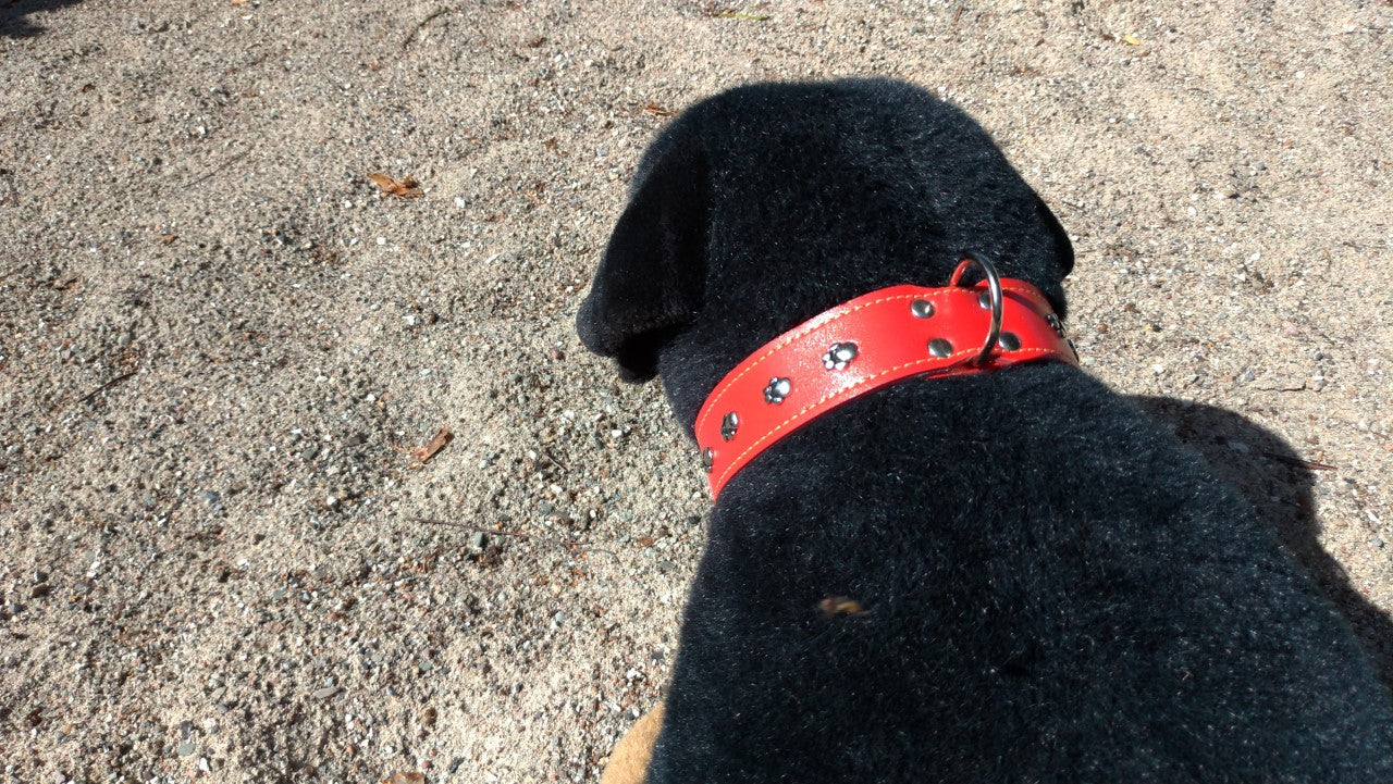 Hålsbånd med poter 35-43 cm x 30 mm