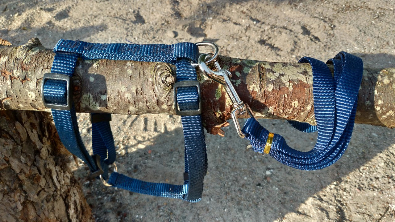 Sæt med sele og line i blød nylon